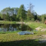 22.05.2023. Niedźwiedź. Ciało kobiety wyłowiono ze stawu na prywatnej posesji / Fot. PSP Staszów