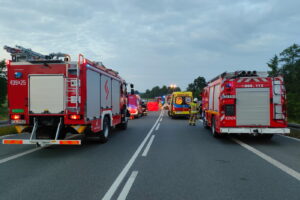 Źródło: Komenda Powiatowa Państwowej Straży Pożarnej w Dąbrowie Tarnowskiej