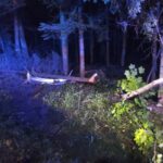 Tragedia na drodze. Zginął 17-latek - Radio Kielce 20.06.2023. Podgórze. Wypadek / Fot. straż pożarna