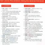 „Suzuki Boxing Night 22”