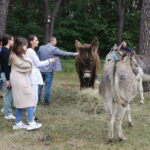 13.06.2023. Kielce. Świętokrzyskie Centrum Psychiatrii. Terapia wspomagająca przy udziale osłów / Fot. Wiktor Taszłow - Radio Kielce