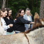 13.06.2023. Kielce. Świętokrzyskie Centrum Psychiatrii. Terapia wspomagająca przy udziale osłów / Fot. Wiktor Taszłow - Radio Kielce