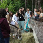 13.06.2023. Kielce. Świętokrzyskie Centrum Psychiatrii. Terapia wspomagająca przy udziale osłów / Fot. Wiktor Taszłow - Radio Kielce