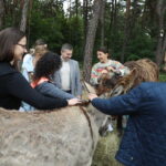 Osiołki odwiedziły dzieci na oddziale psychiatrycznym