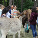 13.06.2023. Kielce. Świętokrzyskie Centrum Psychiatrii. Terapia wspomagająca przy udziale osłów / Fot. Wiktor Taszłow - Radio Kielce