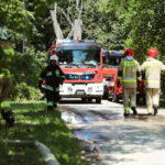 26.06.2023. Podzamcze. Ćwiczenia służb mundurowych / Fot. WIktor Taszłow - Radio Kielce