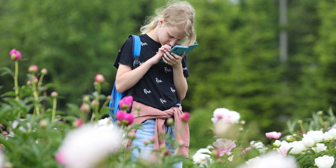 08.06.2023. Kielce. Ogród Botaniczny. Kwitnące piwonie. / Fot. Wiktor Taszłow - Radio Kielce