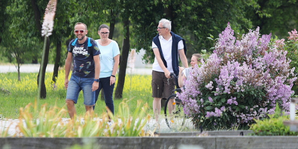 08.06.2023. Kielce. Ogród Botaniczny. Kwitnące piwonie. / Fot. Wiktor Taszłow - Radio Kielce