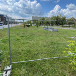 Co się dzieje wokół synagogi? - Radio Kielce Co się dzieje wokół synagogi?