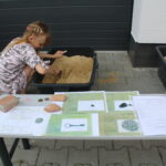 18.06.2023. Wiślica. Muzeum w Wiślicy. Europejskie Dni Archeologii / Fot. Marta Gajda-Kruk – Radio Kielce