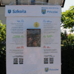 Pińczów. Stacja rowerów przy boisku sportowym na osiedlu Grodzisko / Fot. Marta Gajda-Kruk – Radio Kielce