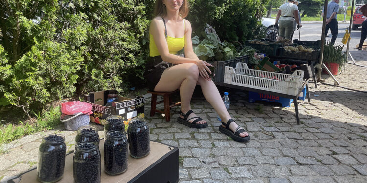 Pojawiły się pierwsze jagody - Radio Kielce