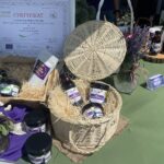 25.06.2023. Modliborzyce. Dzień otwarty na plantacji jagody kamczackiej / Fot. Grażyna Szlęzak - Radio Kielce