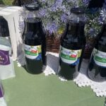 25.06.2023. Modliborzyce. Dzień otwarty na plantacji jagody kamczackiej / Fot. Grażyna Szlęzak - Radio Kielce