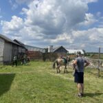 25.06.2023. Modliborzyce. Dzień otwarty na plantacji jagody kamczackiej / Fot. Grażyna Szlęzak - Radio Kielce
