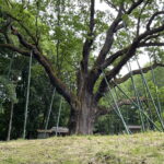 Legenda w dobrej formie. Bartek czeka na zabiegi i nowe atrakcje dla turystów