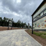 08.06.2023. Zagnański. Dąb „Bartek" i jego otoczenie. / Fot. Michał Kita - Radio Kielce.