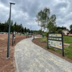 08.06.2023. Zagnański. Dąb „Bartek" i jego otoczenie. / Fot. Michał Kita - Radio Kielce.