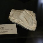 13.06.2023 Kraków. Dom Jana Matejki przy Floriańskiej. Gipsowy odlew dłoni malarza / Fot. Jarosław Kubalski - Radio Kielce