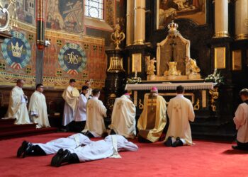 Nowi księża w diecezji sandomierskiej. Gdzie zostali posłani?