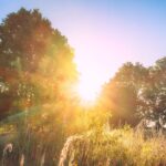 W czwartek przyjdzie ocieplenie, nawet 30 st. C