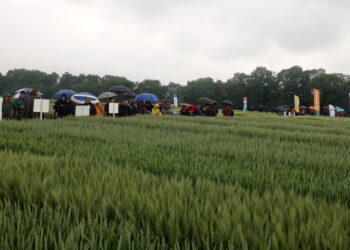 Na Dni Pola do Słupi przyjechało wielu rolników z województwa świętokrzyskiego i ościennych regionów, uczniowie szkół rolniczych i samorządowcy / Fot. Marzena Smoręda - Radio Kielce