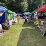 08.07.2023. Końskie. Bitwa Regionów / Fot. Magdalena Galas-Klusek - Radio Kielce