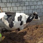 Fot. Komenda Powiatowa Państwowej Straży Pożarnej w Nidzicy