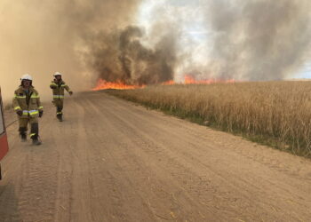 Tragedia w Cegielni. W wyniku pożaru zginął mężczyzna