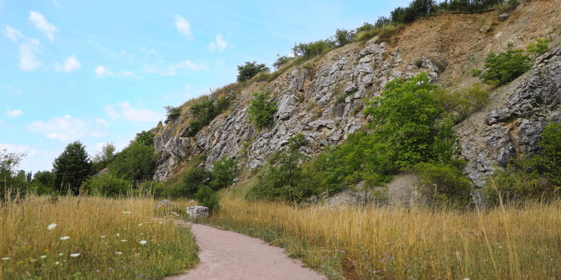 19.07.2023. Kielce. Wietrznia. / Fot. Wiktor Taszłow - Radio Kielce.