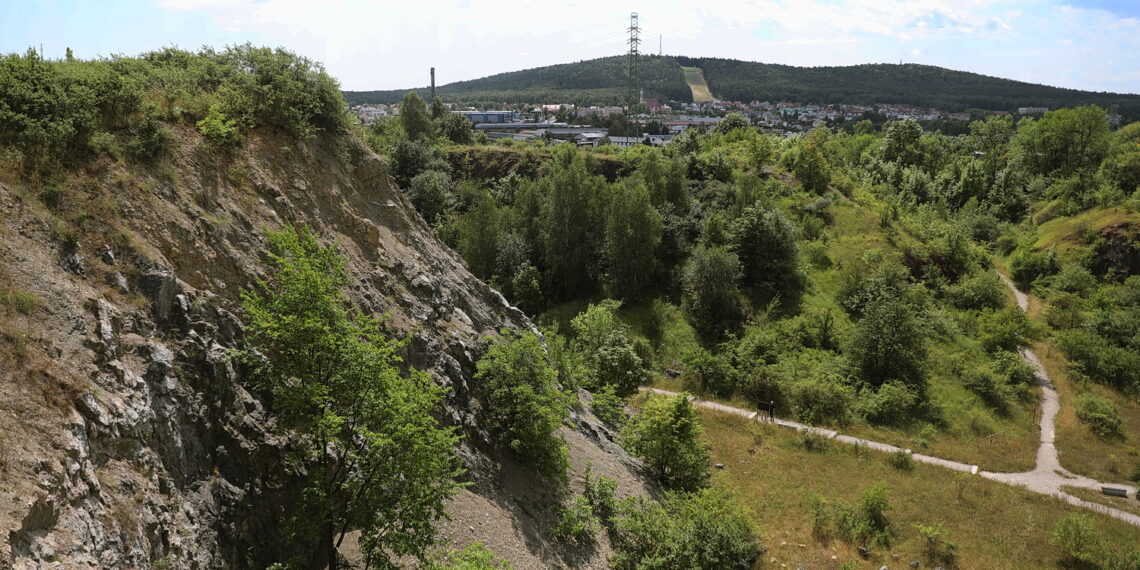 Upamiętnią wybitnego geologa, patrona Wietrzni