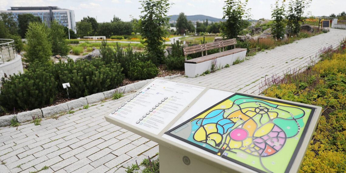 19.07.2023. Kielce. Ogród Botaniczny. / Fot. Wiktor Taszłow - Radio Kielce