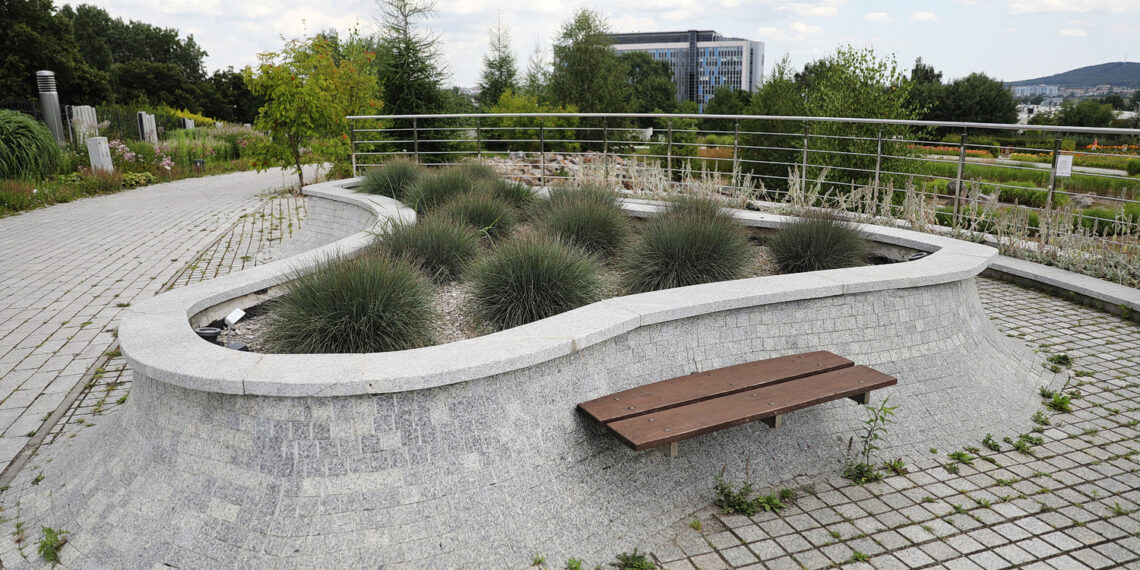 19.07.2023. Kielce. Ogród Botaniczny. / Fot. Wiktor Taszłow - Radio Kielce