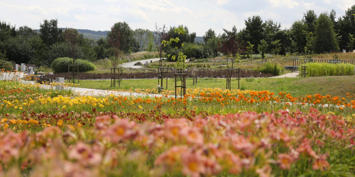 W kieleckim Ogrodzie Botanicznym hartują rośliny