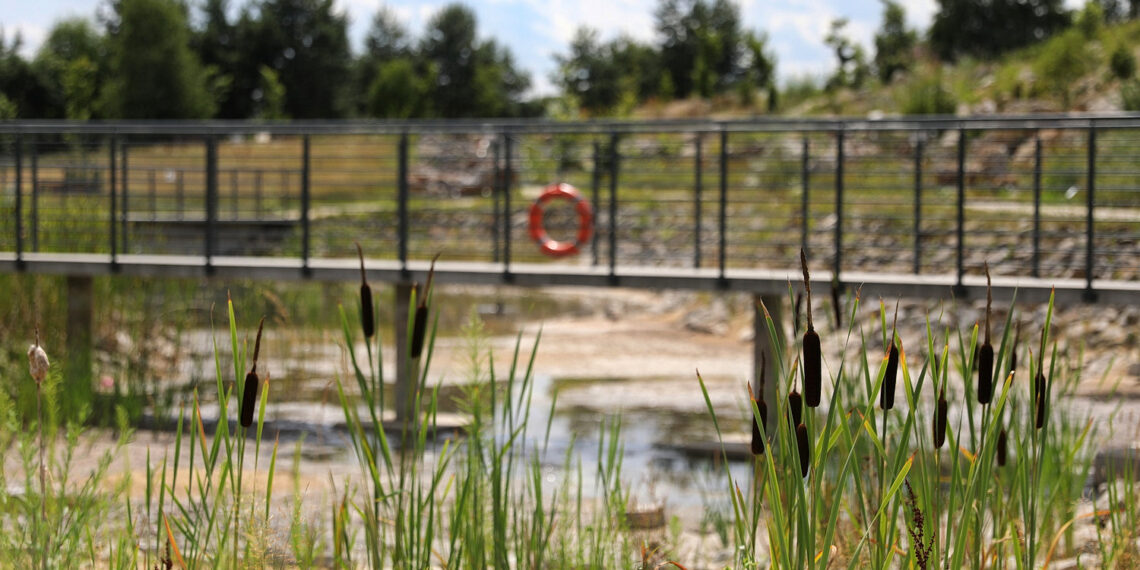 19.07.2023. Kielce. Ogród Botaniczny. / Fot. Wiktor Taszłow - Radio Kielce