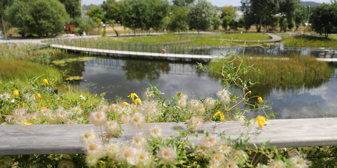19.07.2023. Kielce. Ogród Botaniczny. / Fot. Wiktor Taszłow - Radio Kielce