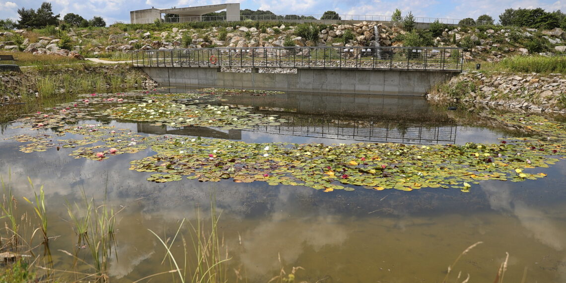 19.07.2023. Kielce. Ogród Botaniczny. / Fot. Wiktor Taszłow - Radio Kielce