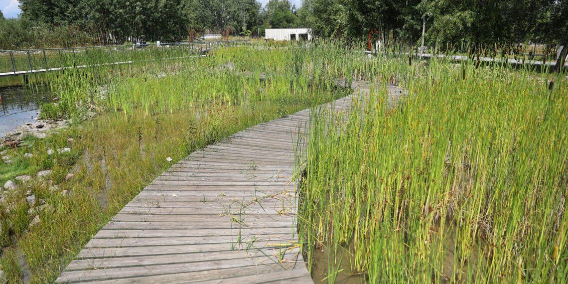 19.07.2023. Kielce. Ogród Botaniczny. / Fot. Wiktor Taszłow - Radio Kielce