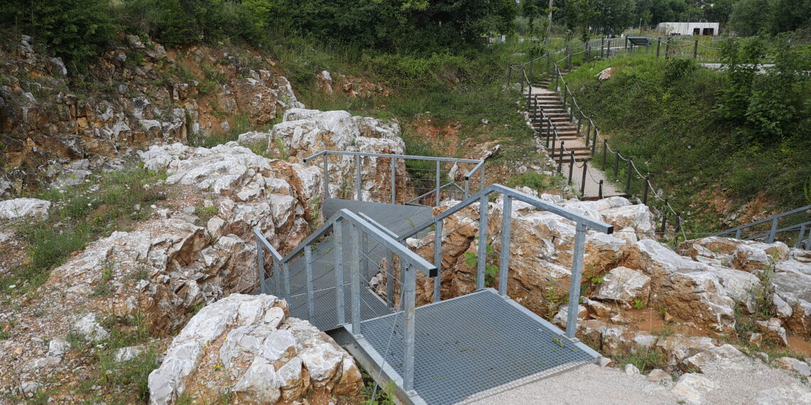 19.07.2023. Kielce. Ogród Botaniczny. / Fot. Wiktor Taszłow - Radio Kielce