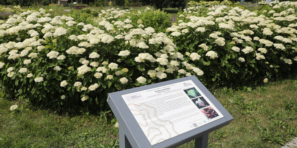 19.07.2023. Kielce. Ogród Botaniczny. / Fot. Wiktor Taszłow - Radio Kielce