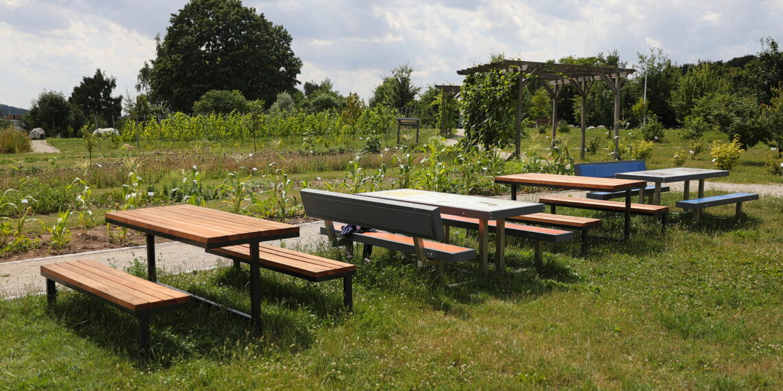 19.07.2023. Kielce. Ogród Botaniczny. / Fot. Wiktor Taszłow - Radio Kielce