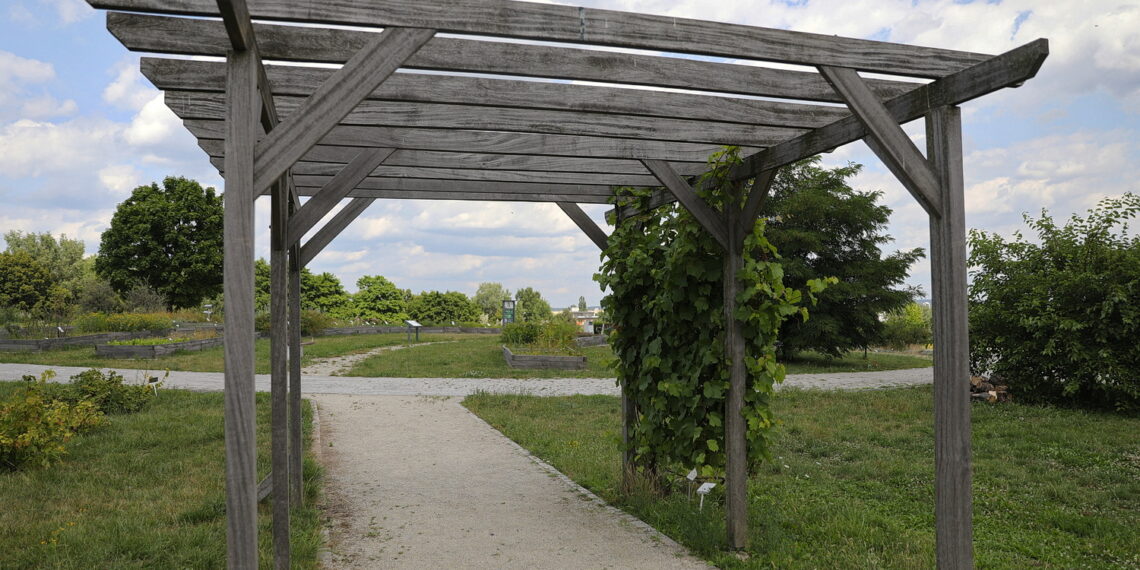 19.07.2023. Kielce. Ogród Botaniczny. / Fot. Wiktor Taszłow - Radio Kielce