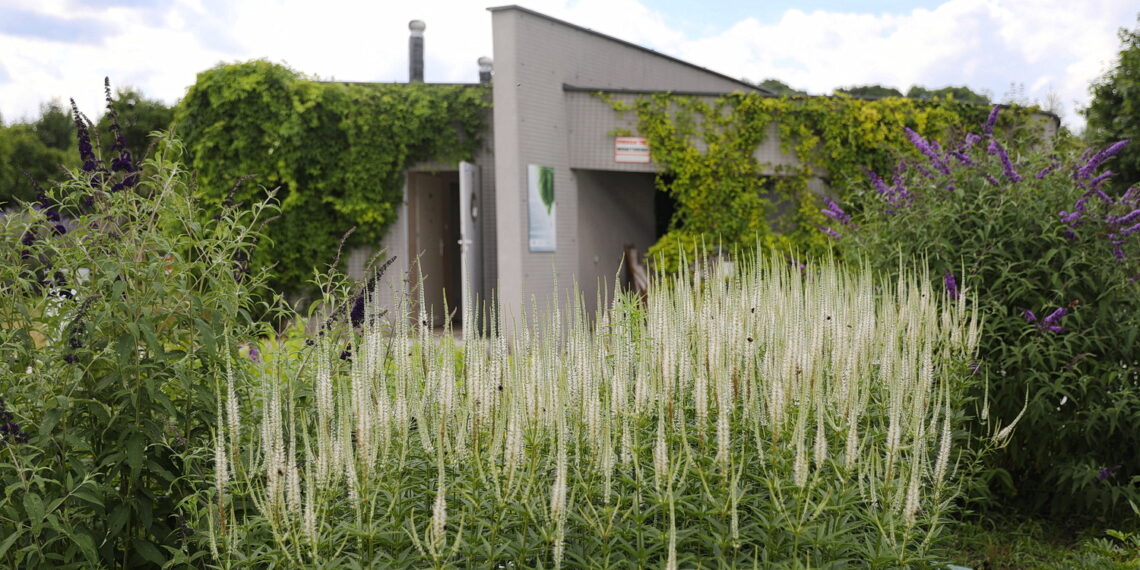 19.07.2023. Kielce. Ogród Botaniczny. / Fot. Wiktor Taszłow - Radio Kielce