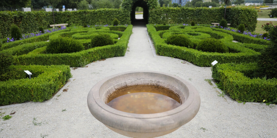 19.07.2023. Kielce. Ogród Botaniczny. / Fot. Wiktor Taszłow - Radio Kielce