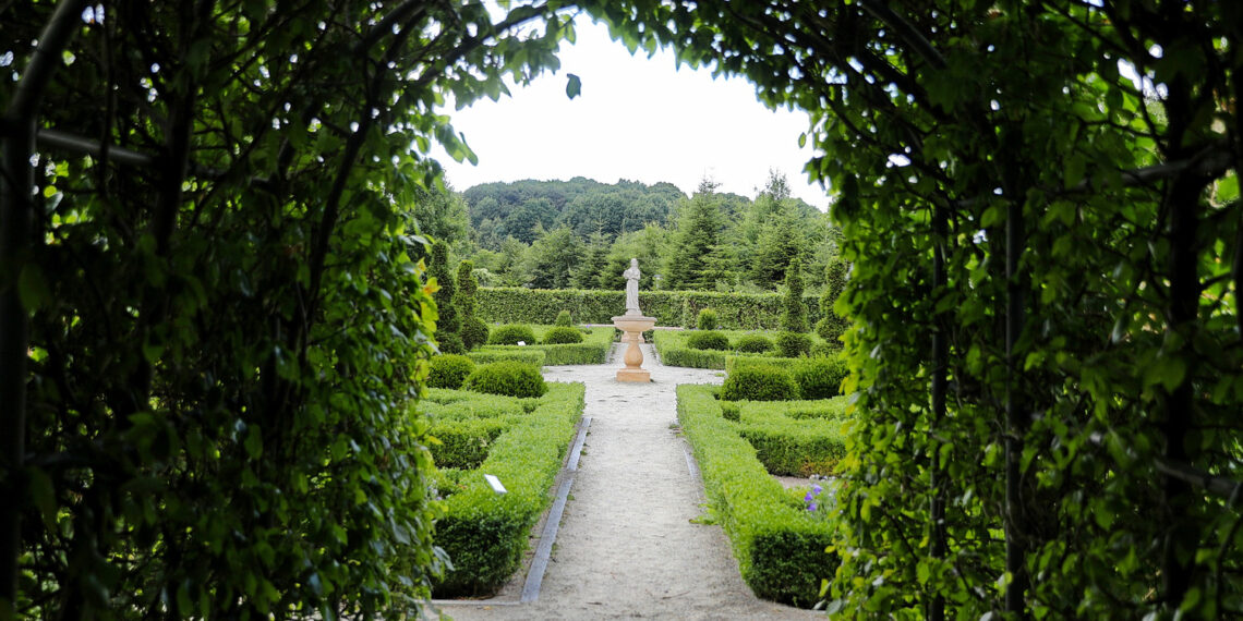 19.07.2023. Kielce. Ogród Botaniczny. / Fot. Wiktor Taszłow - Radio Kielce