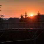 Ciężkowice. Ścieżka w Koronach Drzew / Fot. Urząd Gminy Ciężkowice