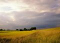 Czeka nas duży spadek temperatury i deszcz [PROGNOZA POGODY]