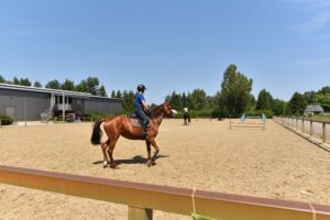 10.07.2023. Piła. Odwiedziny w stadninie „Fullmet” / Fot. Magdalena Galas-Klusek - Radio Kielce