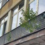 25.07.2023. Kielce. Biurowiec przy ul. Sienkiewicza 76 / Fot. Wiktor Taszłow – Radio Kielce