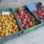 Sandomierz. Giełda rolna / Fot. Grażyna Szlęzak - Radio Kielce